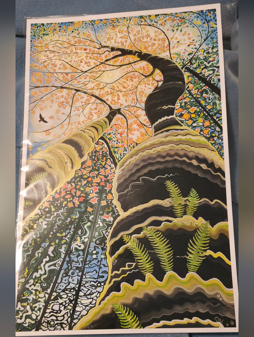 4/$67 Deal! West Coast Art Print Titled Release - Forest Canopy Home